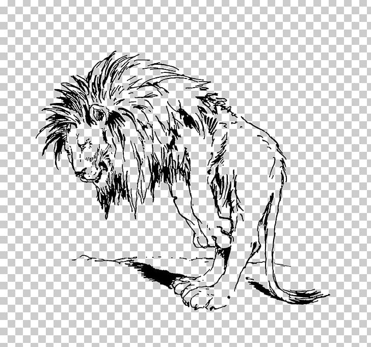 Lion Graphics Coloring Book Illustration Sketch PNG, Clipart, Animals, Art, Big Cats, Carnivoran, Cat Like Mammal Free PNG Download