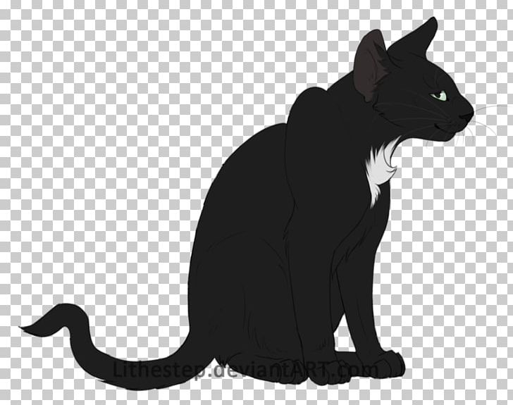 Black Cat Kitten Whiskers Domestic Short-haired Cat PNG, Clipart, Animals, Apprentice, Black, Black Cat, Black M Free PNG Download