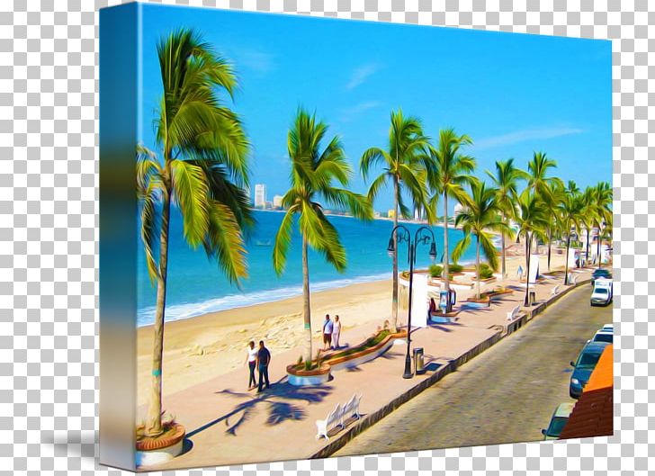 Caribbean Arecaceae Vacation Leisure Beach PNG, Clipart, Arecaceae, Arecales, Beach, Caribbean, Leisure Free PNG Download