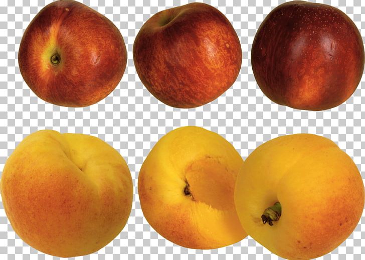 Peach Apricot PNG, Clipart, Apple, Apricot, Computer Icons, Food, Free Free PNG Download