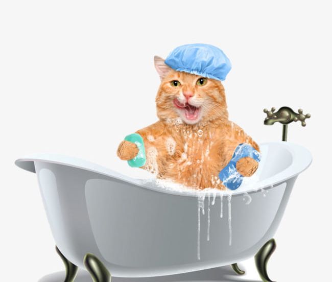 Cat Bath Tub PNG, Clipart, Animal, Bath, Bath Clipart, Bathtub, Cat Clipart Free PNG Download