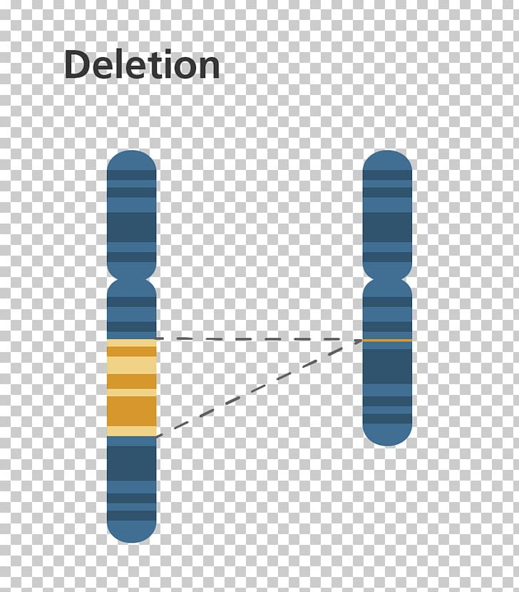 Chromosome Abnormality Deletion DiGeorge Syndrome Mutation PNG, Clipart, Angle, Brand, Chromosomal Inversion, Chromosomal Translocation, Chromosome Free PNG Download