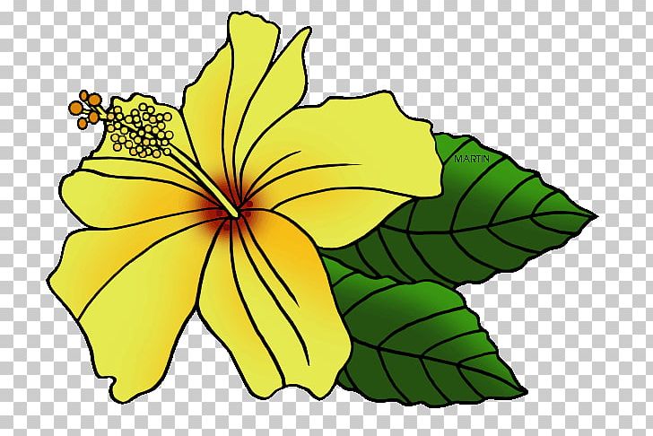 Hawaiian Hibiscus State Flower PNG, Clipart, Artwork, Cut Flowers, Flora, Floral Design, Flower Free PNG Download