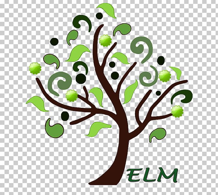 Branch Elm Drawing PNG, Clipart, Art, Artwork, Branch, Drawing, Educational Program Free PNG Download