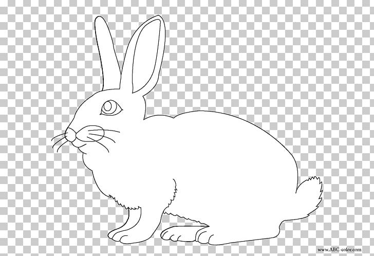 Domestic Rabbit Hare Easter Bunny Coloring Book PNG, Clipart, Animals, Artwork, Black And White, Book, Cartoon Free PNG Download