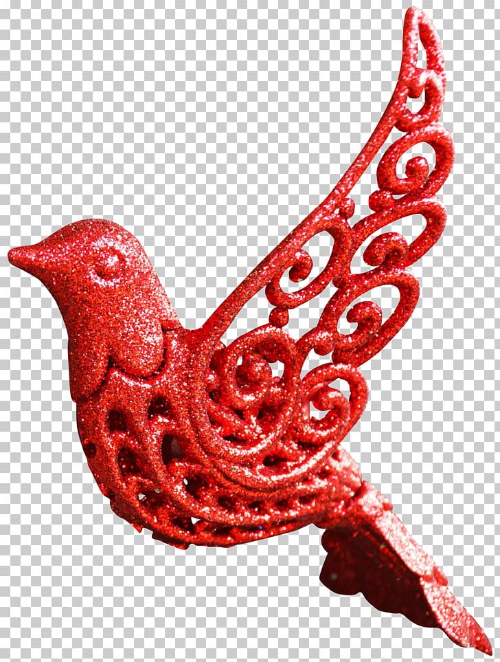 Photography PNG, Clipart, Bird, Chicken, Color, Galliformes, Miscellaneous Free PNG Download