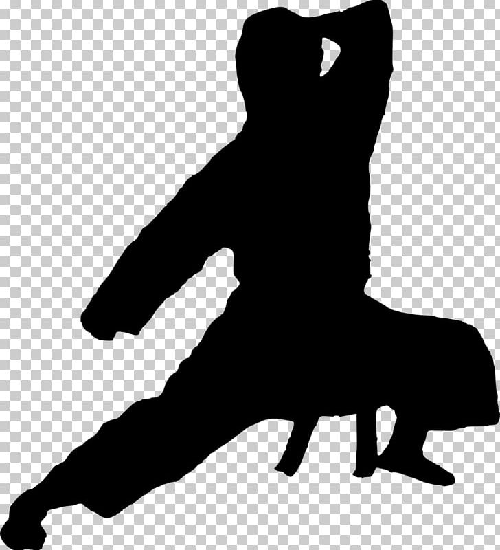 Silhouette Karate PNG, Clipart, Black, Black And White, Joint, Karate, Karate Girl Free PNG Download