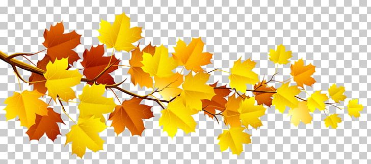 Branch Autumn Tree PNG, Clipart, Autumn, Autumn Leaf Color, Autumn Leaves, Branch, Clipart Free PNG Download