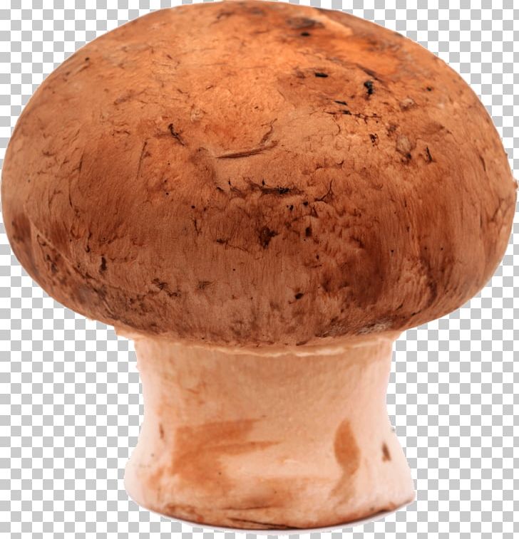 Edible Mushroom Common Mushroom Agaricaceae Photography PNG, Clipart, Agaricaceae, Agaricomycetes, Common Mushroom, Edible Mushroom, Ingredient Free PNG Download