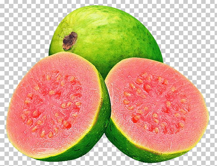Watermelon Juice Common Guava Fruit PNG, Clipart, Barbados Cherry, Citrullus, Common Guava, Cucumber Gourd And Melon Family, Diet Food Free PNG Download