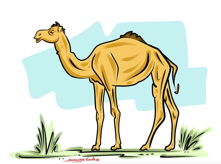 Dromedary Daffy Duck Free Content PNG, Clipart, Arabian Camel, Art, Camel, Camel Like Mammal, Daffy Duck Free PNG Download