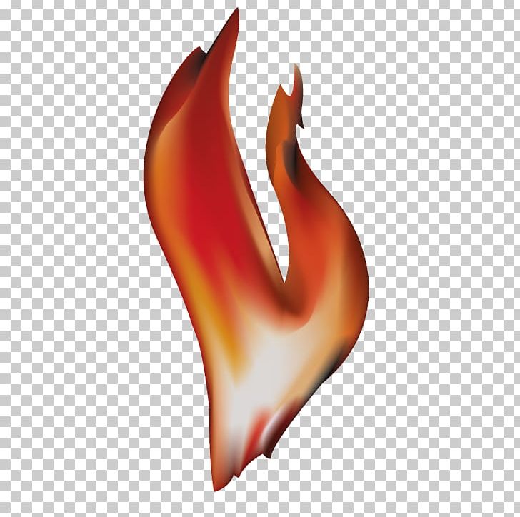 Fire Flame PNG, Clipart, Ankh Clipart, Blog, Campfire, Computer Icons, Computer Wallpaper Free PNG Download