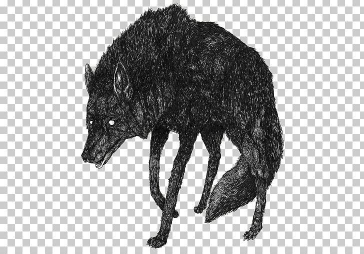 Gray Wolf Art Drawing Derek Hale PNG, Clipart, Aesthetics, Art, Black Wolf, Carnivoran, Derek Hale Free PNG Download