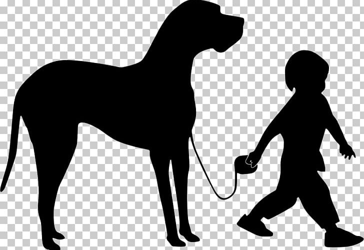 Great Dane Rough Collie Puppy Border Collie PNG, Clipart, Animals, Black, Black And White, Border Collie, Boy Free PNG Download