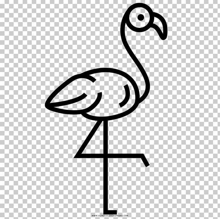 Black And White Beak Greater Flamingo Flamingos F.C. Drawing PNG, Clipart, Animal, Area, Artwork, Beak, Bird Free PNG Download