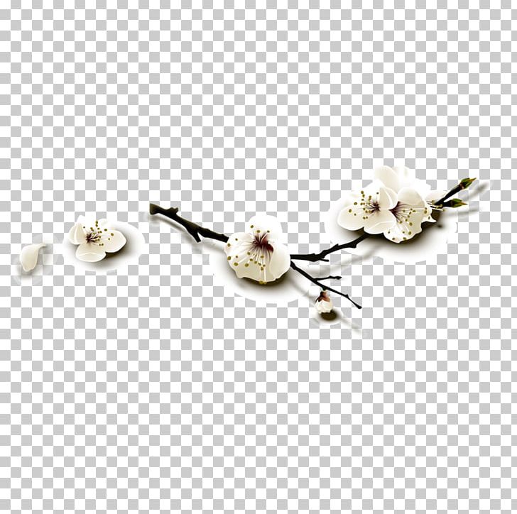 Cherry Blossom PNG, Clipart, Blossom, Blossoms, Cerasus, Cherry, Cherry Blossom Free PNG Download