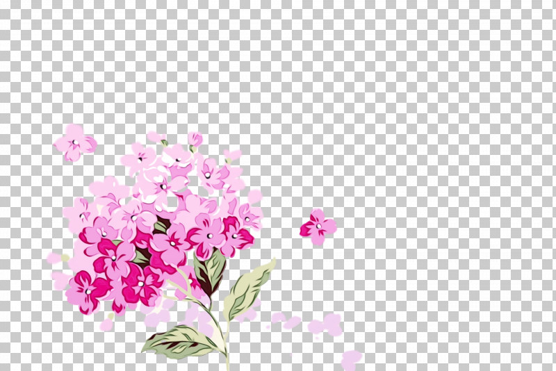 Floral Design PNG, Clipart, Annual Plant, Blossom, Cherry Blossom, Cut Flowers, Flora Free PNG Download