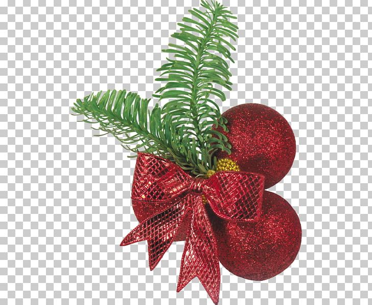 Christmas Ornament Spruce New Year Tree Toy PNG, Clipart, Christmas, Christmas Decoration, Christmas Ornament, Conifer, Conifer Cone Free PNG Download