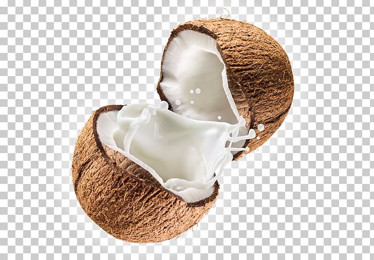 Coconut Milk Coconut Water Almond Milk Milk Substitute PNG, Clipart, Arrack, Coconut, Coconut Candy, Coconut Cream, Coconut Milk Free PNG Download
