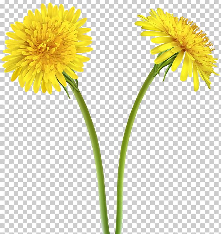 Drawing Dandelion PNG, Clipart, Annual Plant, Chocolate Sandwich, Clip Art, Computer, Coneflower Free PNG Download