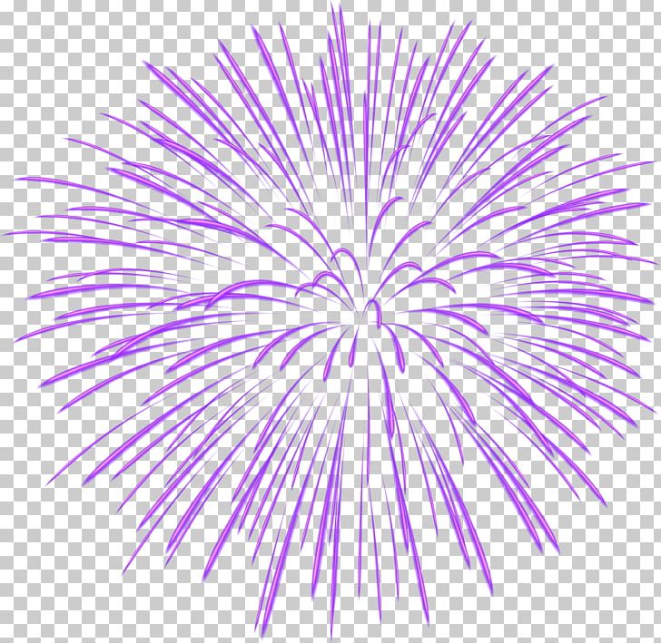 Fireworks PNG, Clipart, Adobe Fireworks, Circle, Clip Art, Clipart, Color Free PNG Download