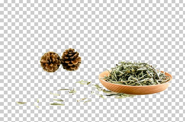 Green Tea High-mountain Tea White Tea Canned Tea PNG, Clipart, Architecture, Background Green, Black Tea, Calligraphy, Cuisine Free PNG Download