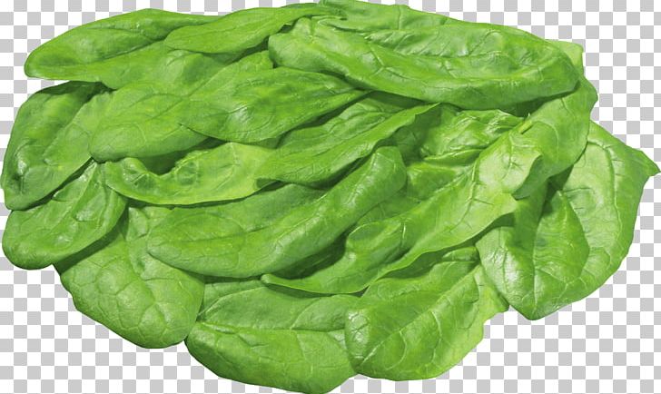 Lettuce Sandwich Salad Nicoise Vegetable PNG, Clipart, Bikinibody, Cabbage, Cauliflower, Chinese Cabbage, Cocoa Free PNG Download