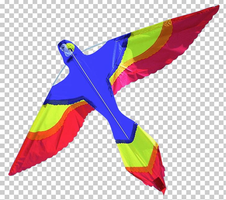 Man-lifting Kite Sport Kite Chinesenfasching PNG, Clipart, Beak, Bird, Chinesenfasching, Computer Icons, Feather Free PNG Download