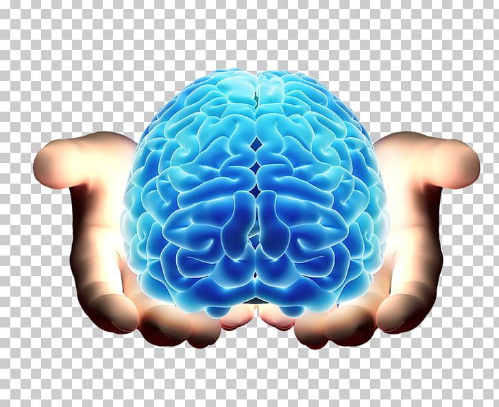 Neurology Neurological Disorder Doctor Of Medicine Brain PNG, Clipart, Center, Disease, Hospital, Human Behavior, Internal Medicine Free PNG Download