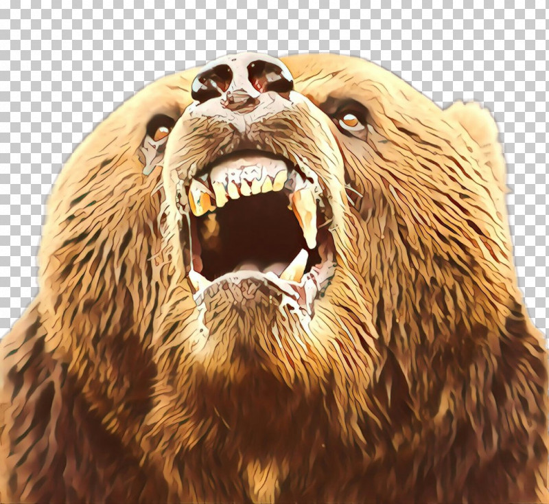 Brown Bear Grizzly Bear Facial Expression Kodiak Bear Roar PNG, Clipart, Bear, Brown Bear, Facial Expression, Grizzly Bear, Kodiak Bear Free PNG Download