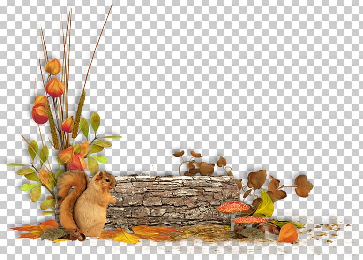 Autumn .de Blog .gr PNG, Clipart, Branch, Com, Computer Icons, Download, Email Free PNG Download