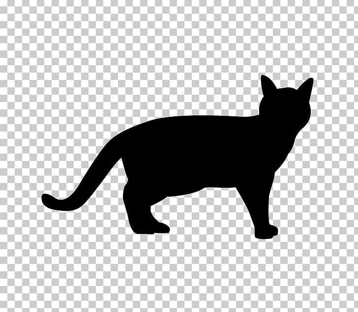 Ferret Cat Panther PNG, Clipart, Animal Illustration, Animals, Black, Black And White, Black Cat Free PNG Download