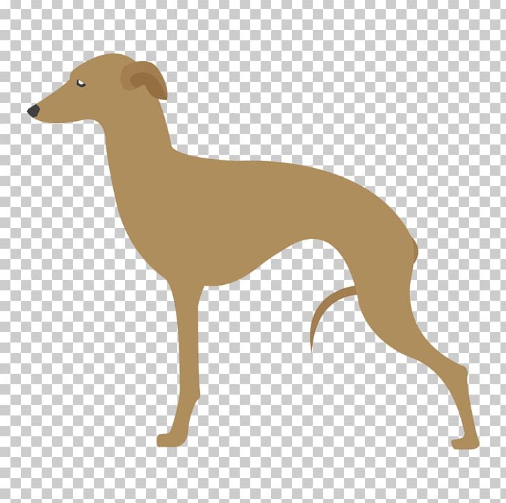 Lurcher Italian Greyhound Spanish Greyhound Azawakh PNG, Clipart, Animal Sports, Azawakh, Breed, Carnivoran, Dog Free PNG Download