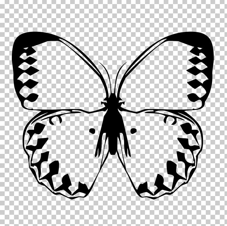 Butterfly Decal Graphium Sarpedon Illustration PNG, Clipart, Antenna, Black, Black Hair, Black Lace, Black White Free PNG Download