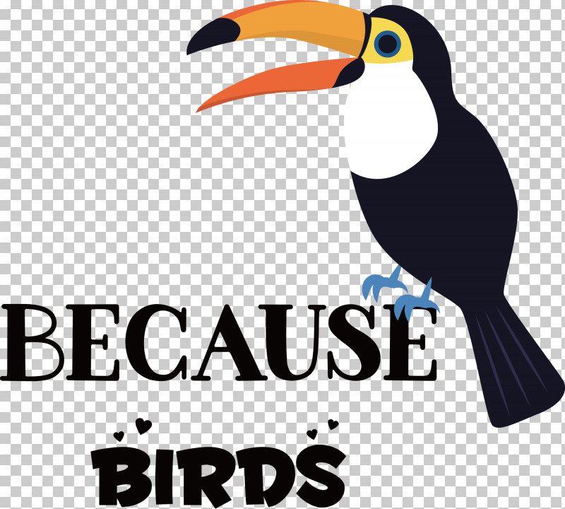 Because Birds Bird Animal PNG, Clipart, Animal, Beak, Belief, Biology, Bird Free PNG Download