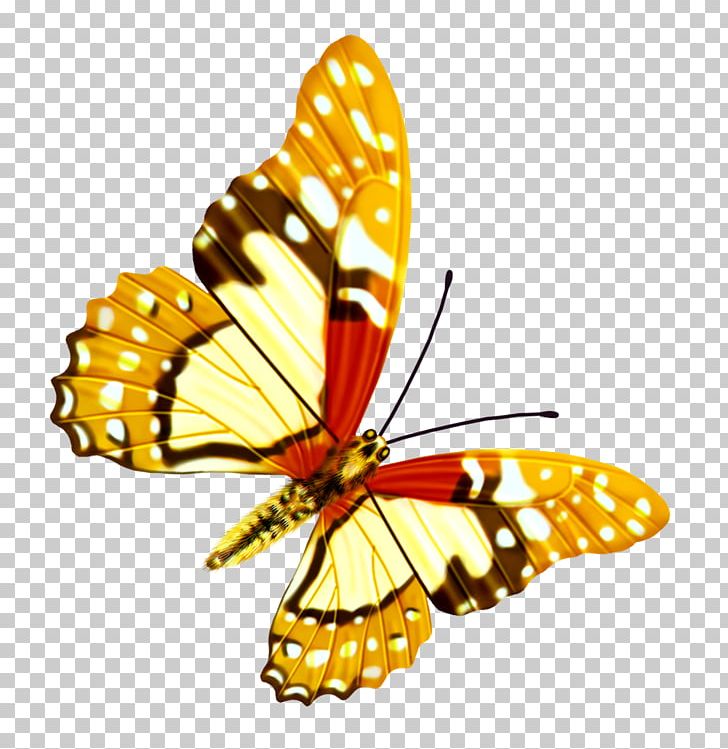 Butterfly PNG, Clipart, Adobe Illustrator, Brush Footed Butterfly, Butterflies, Butterfly Group, Color Free PNG Download