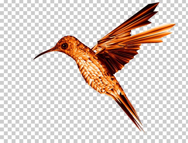 Hummingbird Beak Wing Feather PNG, Clipart, Animals, Art, Artstation, Beak, Bird Free PNG Download