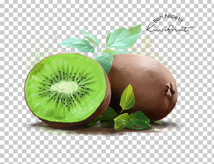 Kiwifruit Stock Photography Watercolor Painting Poster PNG, Clipart, Art, Diet Food, Food, Fruit, Kiwi Free PNG Download