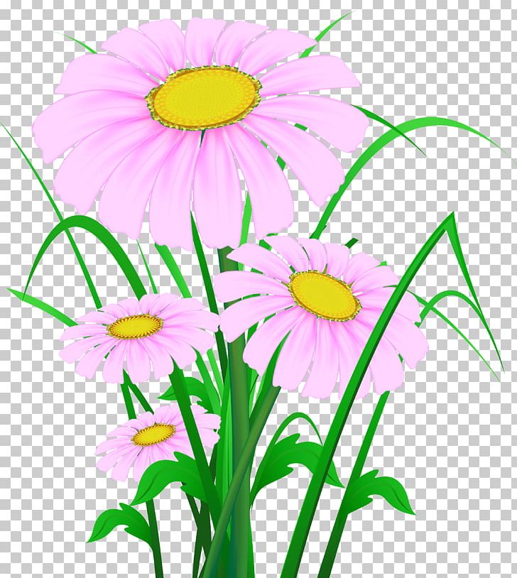 Wildflower Desktop PNG, Clipart, Annual Plant, Artwork, Aster, Chrysanths, Common Daisy Free PNG Download