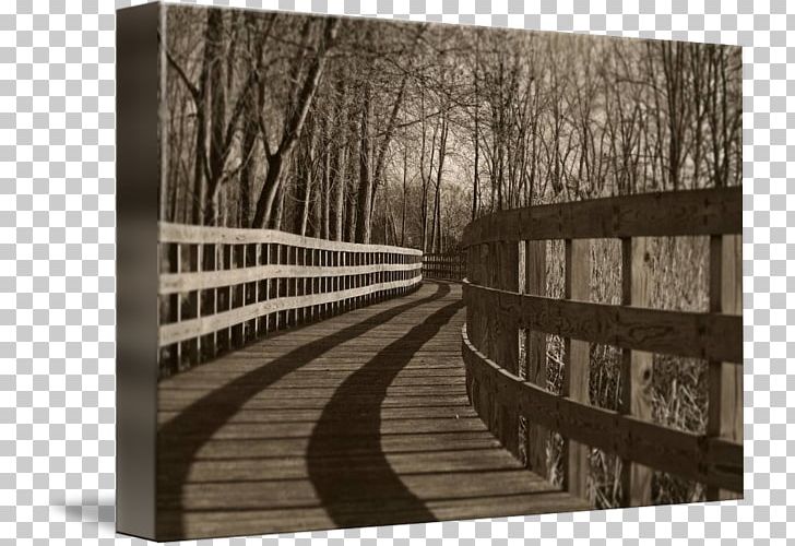 Wood Tree /m/083vt PNG, Clipart, Black And White, Boardwalk Top, M083vt, Nature, Photography Free PNG Download