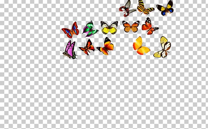 Butterfly Computer File PNG, Clipart, Adobe Illustrator, Beak, Body Jewelry, Brand, Butter Free PNG Download