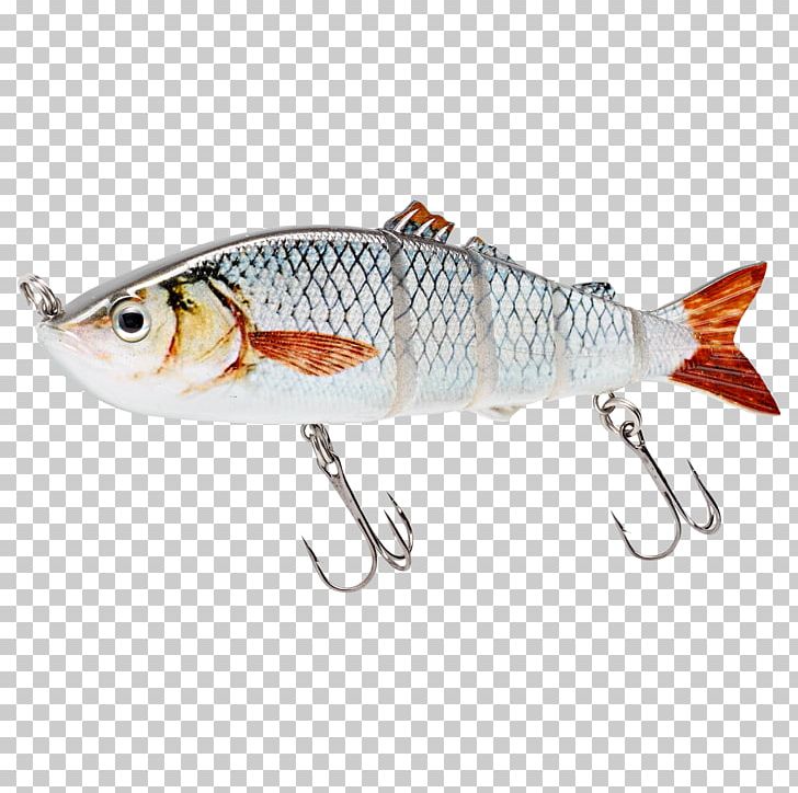 Fishing Baits & Lures Fishing Reels Fishing Rods PNG, Clipart, Angling, Bait, Bony Fish, Braided Fishing Line, Common Rudd Free PNG Download