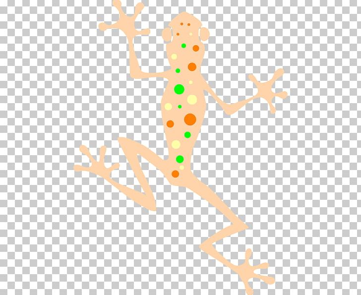 Frog Amphibians PNG, Clipart, Amphibians, Animals, Antler, Arm, Art Free PNG Download