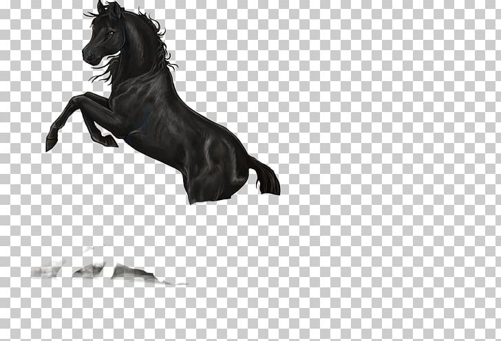 Mane Rein Pony Mustang Stallion PNG, Clipart, Black, Black And White, Bridle, Canidae, Character Free PNG Download