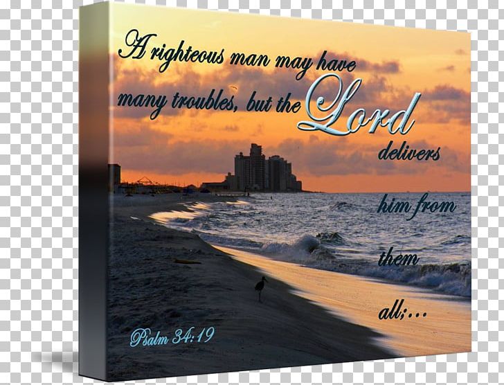 Religious Text Bible Art PNG, Clipart, Advertising, Art, Beach, Bible, Chapters And Verses Of The Bible Free PNG Download