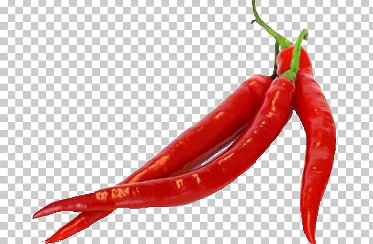 Cayenne Pepper Chili Pepper Crushed Red Pepper Serrano Pepper Food PNG, Clipart, Bell Peppers And Chili Peppers, Birds Eye Chili, Cayenne Pepper, Chili Pepper, Crushed Red Pepper Free PNG Download