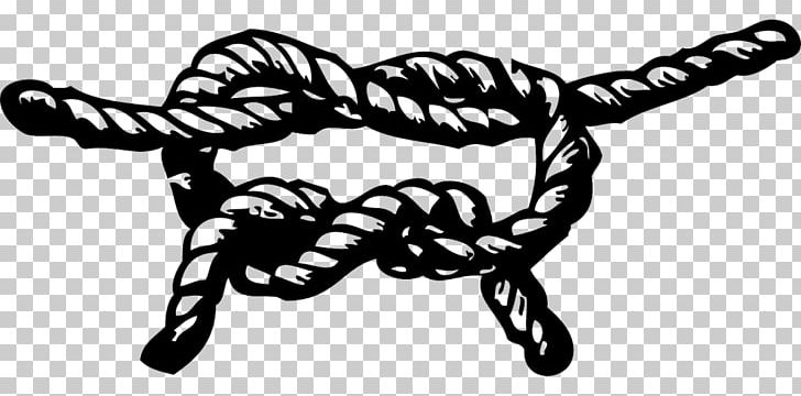 Knot Rope PNG, Clipart, Black, Black And White, Celtic Knot, Clip Art, Diamond Knot Free PNG Download