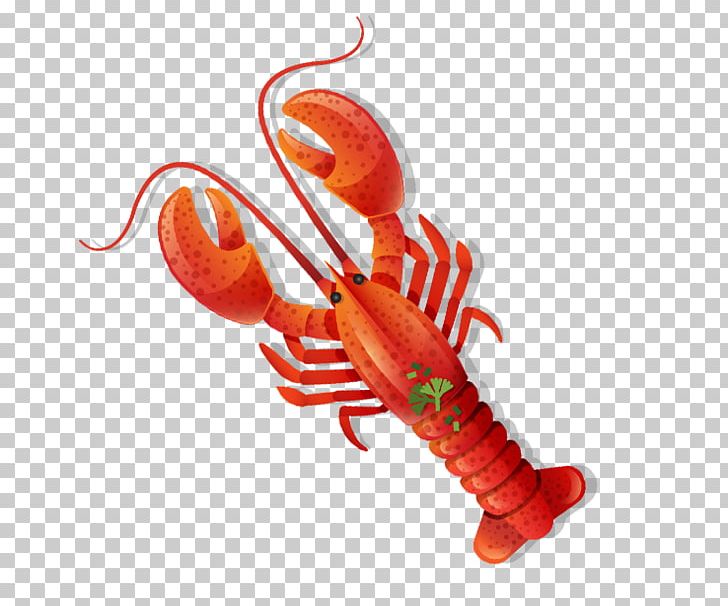 Lobster Seafood PNG, Clipart, Animals, Cartoon, Cartoon Lobster, Crayfish, Decapoda Free PNG Download