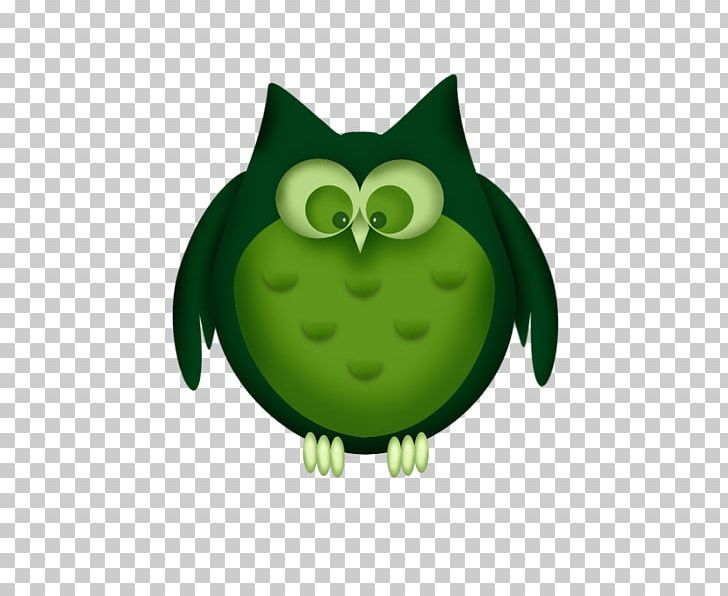 Owl Portable Network Graphics Cartoon PNG, Clipart, Animal, Animals, Beak, Bird, Bird Of Prey Free PNG Download