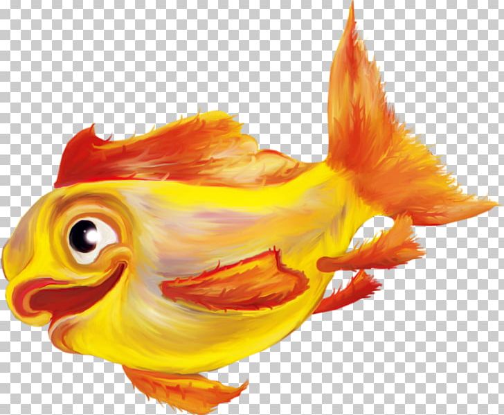 Fish PNG, Clipart, Animals, Animation, Bony Fish, Computer Icons, Desktop Wallpaper Free PNG Download